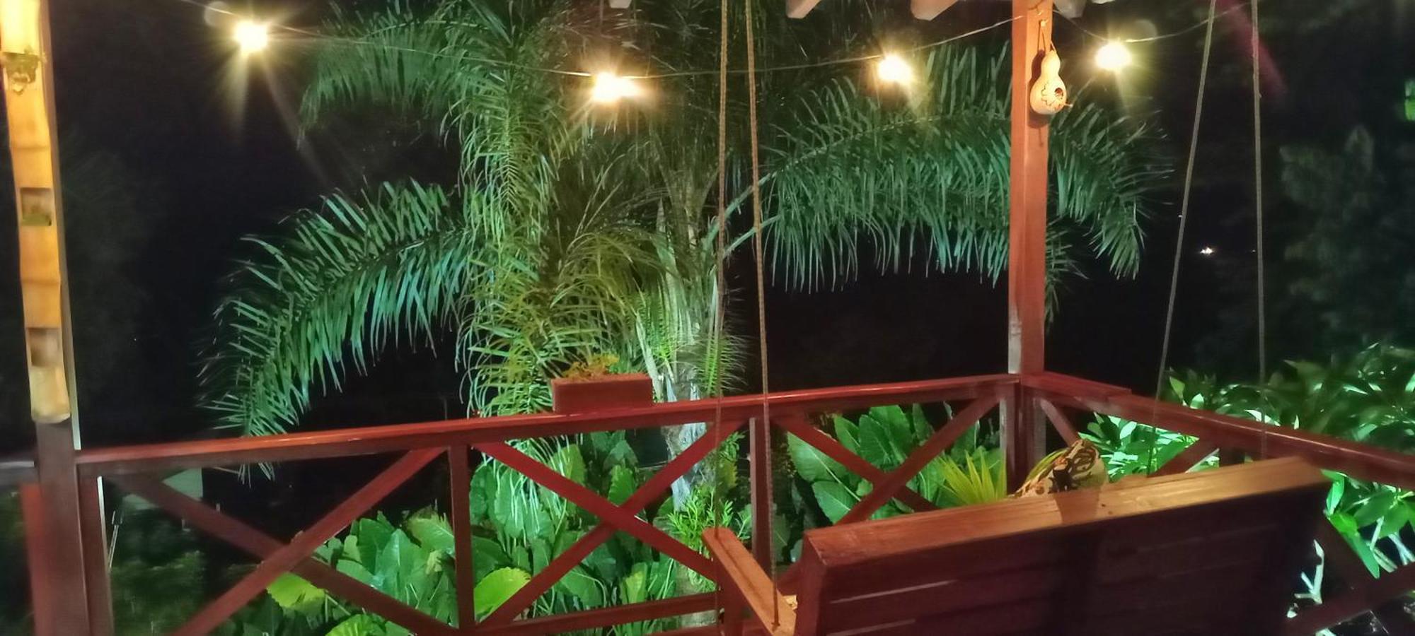 Palmeras *